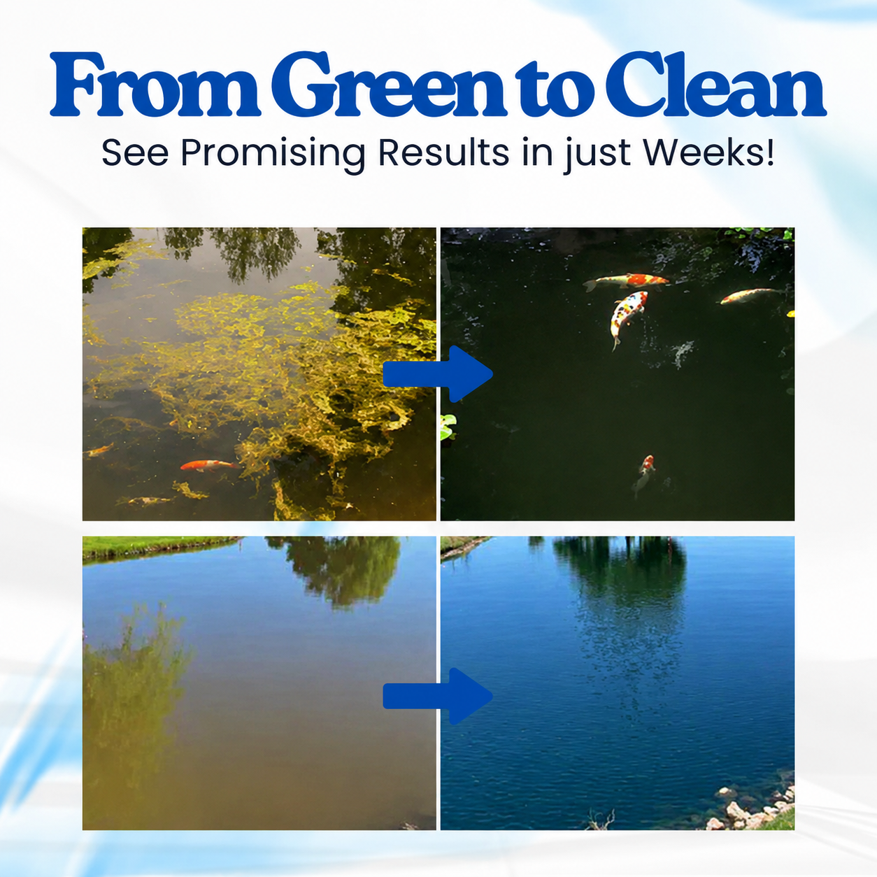💧✨ Restore Crystal-Clear Water Naturally ✨💧  Healthy Water • Healthy Fish • Healthy Ecosystem