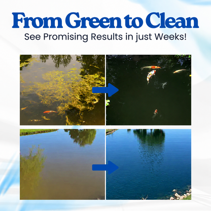 💧✨ Restore Crystal-Clear Water Naturally ✨💧  Healthy Water • Healthy Fish • Healthy Ecosystem